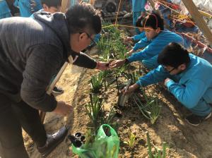 20191212菜園種菜趣_191216_0072.jpg