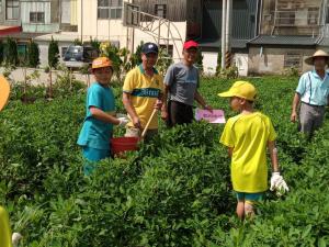 20190625花生田除草樂_190626_0027.jpg