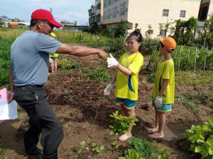20190625花生田除草樂_190626_0043.jpg