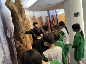 IMG_6852.JPG