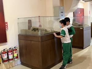 IMG_7841.JPG