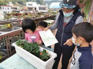 LINE_ALBUM_20211230一甲校本草莓_211230_3.jpg