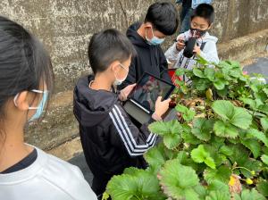 LINE_ALBUM_2023.03.27小主播外拍_230406_6.jpg