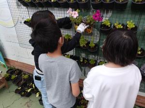 IMG20230317110222.jpg