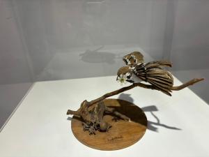 LINE_ALBUM_藝起來苗北-相聲好好笑_240506_35.jpg