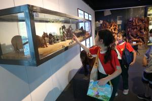 IMG_8150.jpg