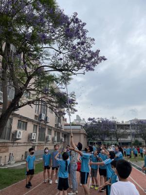 S__13230116.jpg